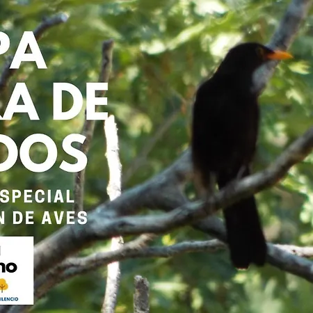 Rural El Camino 3* Candeleda