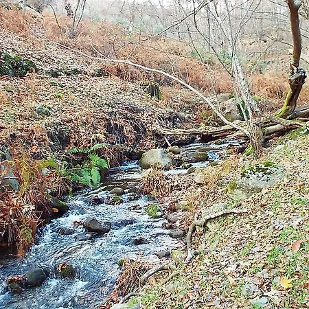 Rural El Camino Hotel