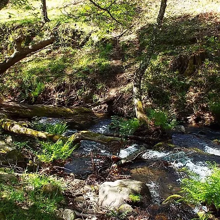 卡米诺乡村酒店 酒店