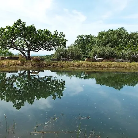 Rural El Camino 3* Candeleda