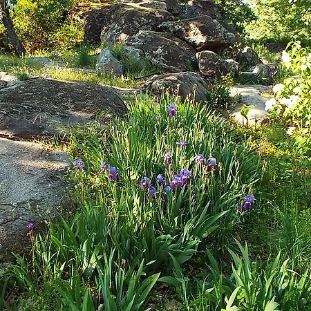Rural El Camino Otel Candeleda