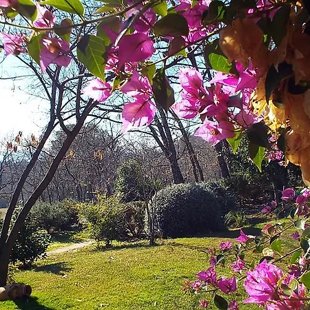 Otel Rural El Camino Candeleda