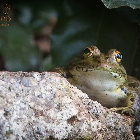 Hotel Rural El Camino 3*