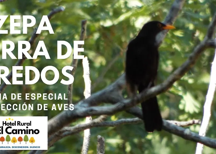 Rural El Camino 3* Candeleda