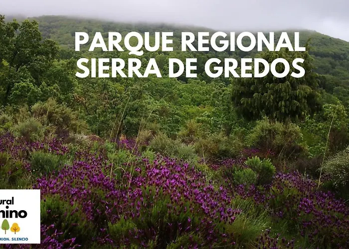 Rural El Camino 3* 칸델레다