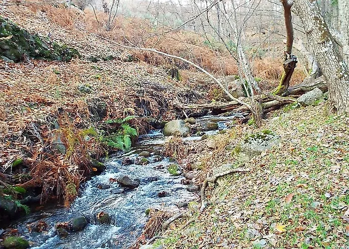 Rural El Camino 호텔
