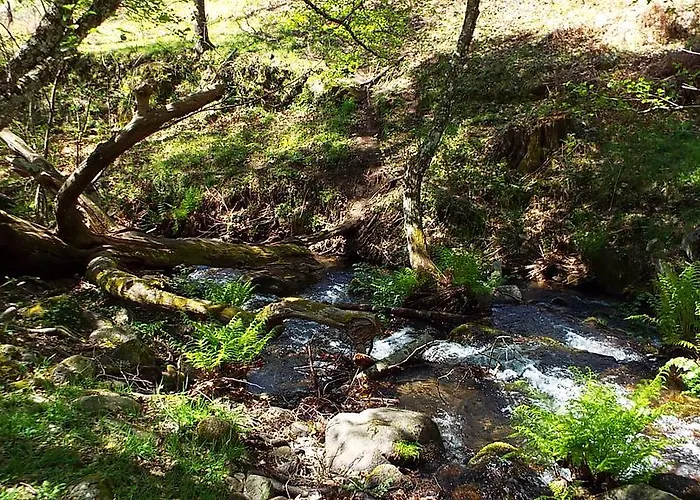 Rural El Camino Hotel