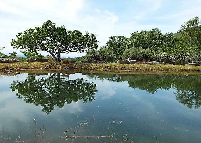 Rural El Camino 3* Candeleda