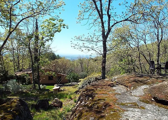 Rural El Camino 칸델레다