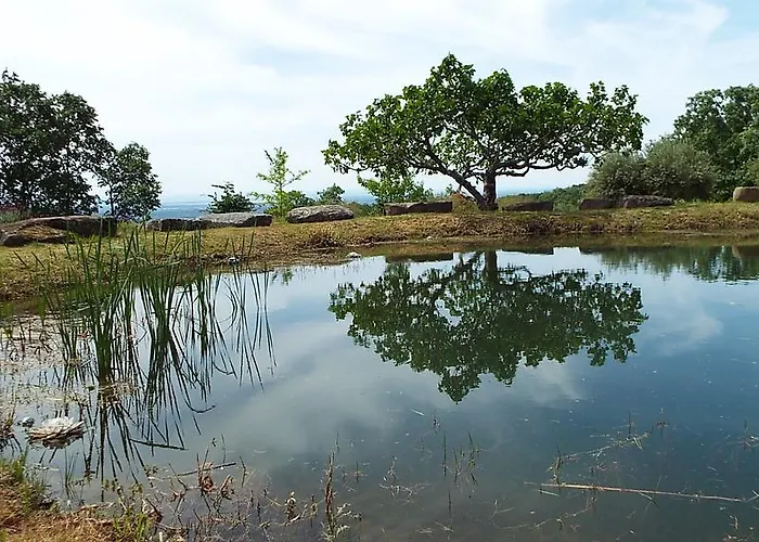 Rural El Camino 3* 칸델레다