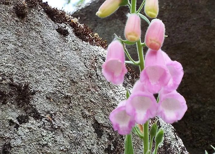 Hotel Rural El Camino 3*