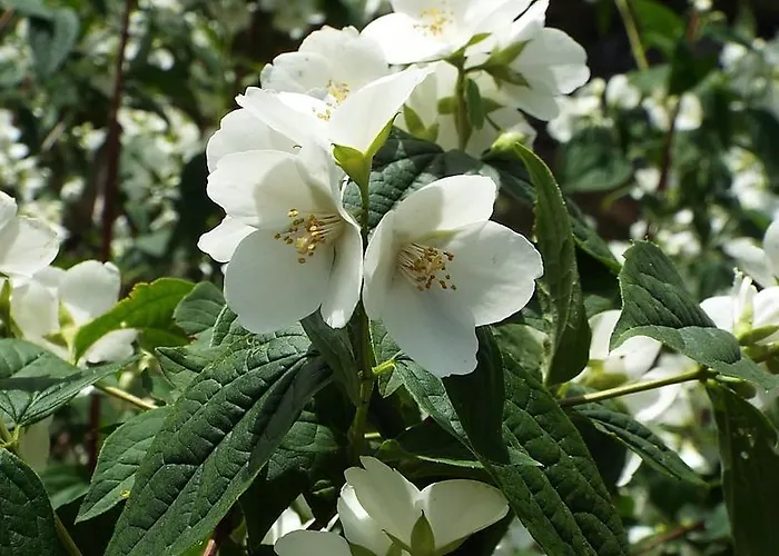 Rural El Camino 호텔 3*