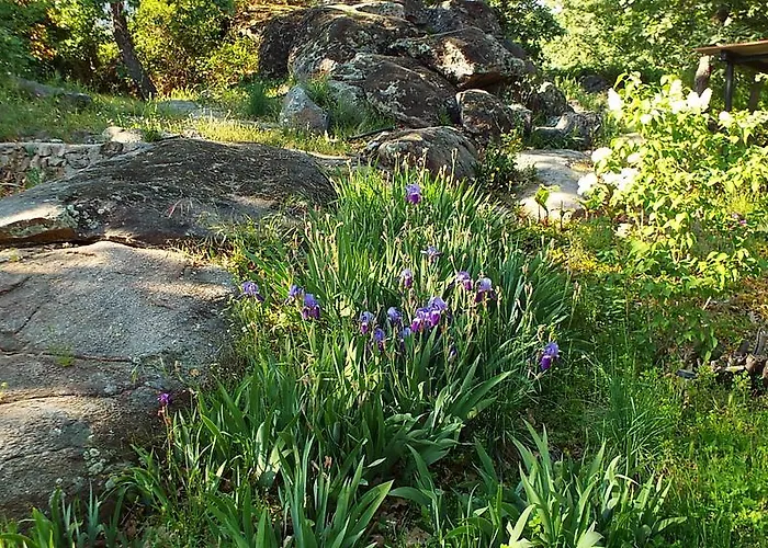 Rural El Camino 호텔 칸델레다